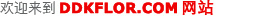 ۿϵزģDDKٷW(wng)վm.prenticepartners.com