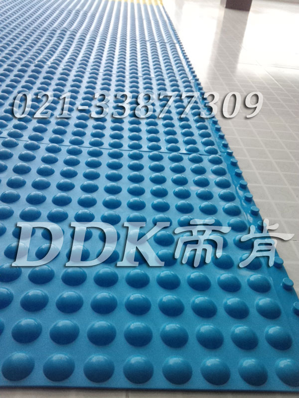 可拼式浴室及泳池地面防滑地毯_表面半圓形止滑按摩毯樣板圖片,帝肯(DDK)_1500_339（有泳池防滑處理材料）效果圖，泳池地膠,泳池防滑地墊,泳池防滑地毯,游泳池地墊,游泳池防滑地膠,游泳池防滑墊,游泳館防滑墊,更衣間防滑地墊,洗手間地墊,洗手間防滑地毯,洗手間防滑墊,洗浴防滑墊,洗澡間防滑墊,公共衛生間塑料地毯,衛浴防滑墊,衛生間地墊,衛生間地膠,衛生間防水地墊,衛生間防水墊,衛生間防滑地毯,衛生間防滑墊,衛生間防滑地磚,衛生間塑料地板,浴室地墊,浴室地膠,浴室墊,浴室防滑地墊,浴室防滑地板,浴室防滑地磚,浴室防滑地膠,浴室防滑墊,浴室地毯,浴室地磚,浴室地板磚,浴室地板,淋浴房防滑墊,浴池防滑地墊,浴池防滑墊,浴室防滑疏水磚